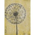 thumbnail image 2 of OToole, Tim 25x32 Gold Ornate Wood Framed with Double Matting Museum Art Print Titled - Dandelion Abstract II, 2 of 4