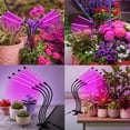 thumbnail image 7 of DAYBETTER LED Grow Lights for Indoor Plants, 4 Heads Clip Grow Light Auto ON/Off with 3/9/12H Timer, with 10 Dimmable Brightness for Indoor Plants, 7 of 7