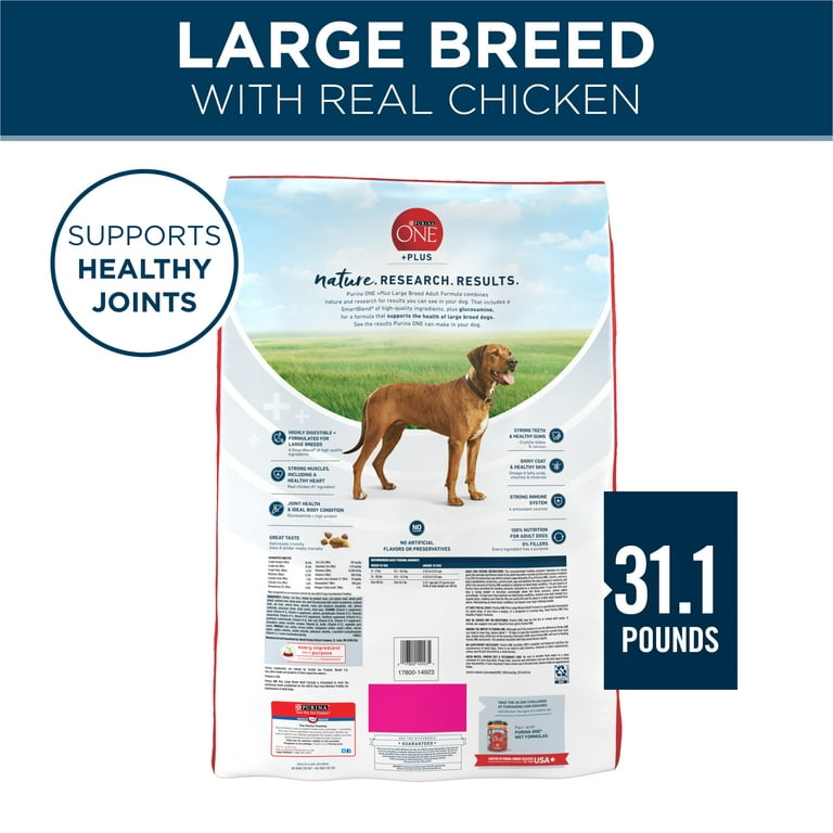 Purina ONE SmartBlend Natural Large Dry Dog Food