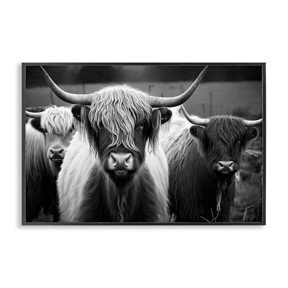 Stupell Industries Black & White Highland Cows Animals Painting Black Framed Art Print Wall Art, 18 x 12