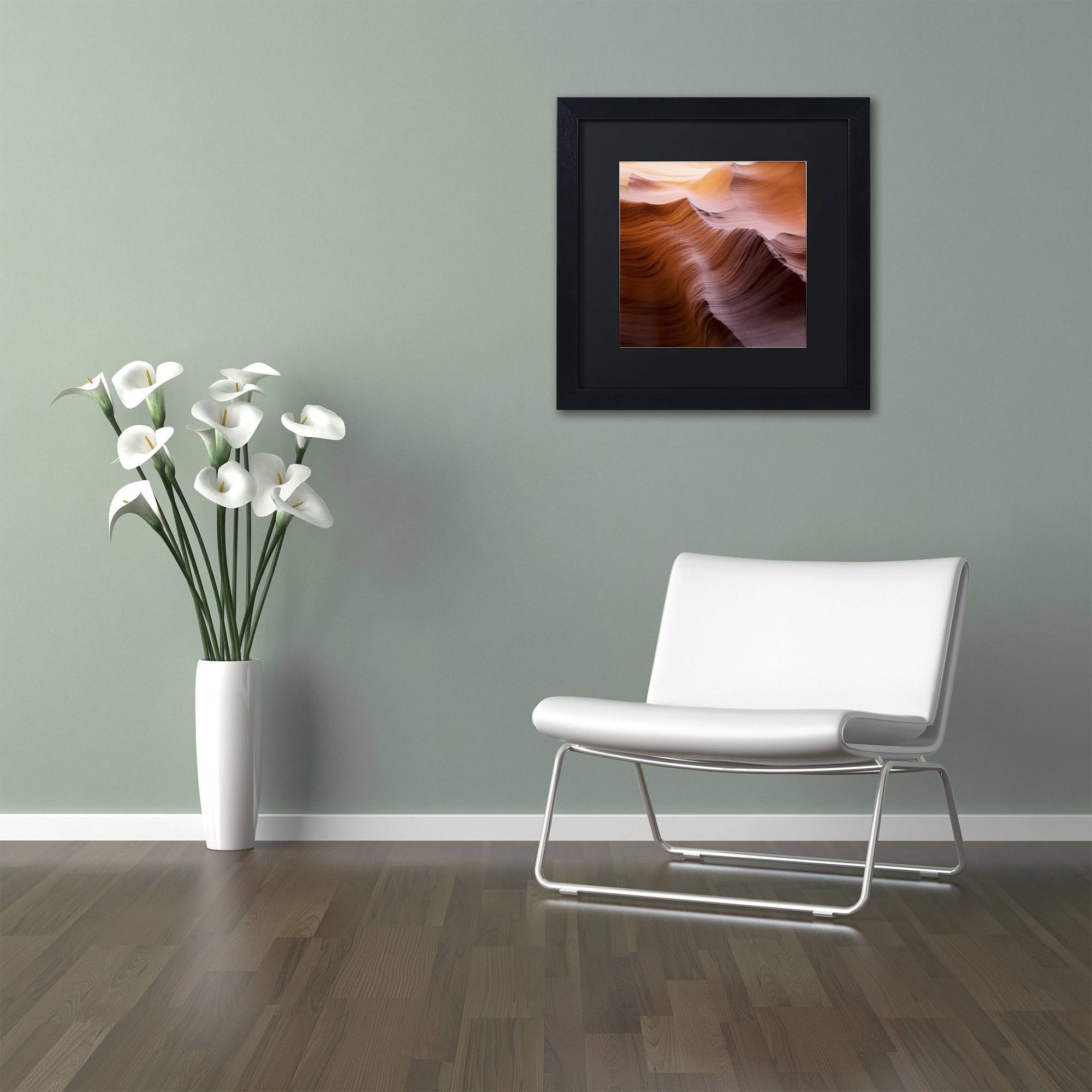 Trademark Fine Art "Smooth I" Canvas Art by Moises Levy Black Matte, Black Frame