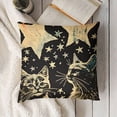 thumbnail image 3 of Inspirational Throw Pillow Cushion Cover, Cat and Dog Silhouettes with Friendship Themed Phrase and Stars Grungy Display, Decorative Square Accent Pillow Case, , Black Tan, 3 of 5