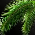 thumbnail image 6 of Acheng Palm Leaves Round Tablecloth, Tropical Jungle Palm Leaves with Charming Colors, Table Decoration for Banquet, Candy Buffet, and Dining Table 42-46, 6 of 8