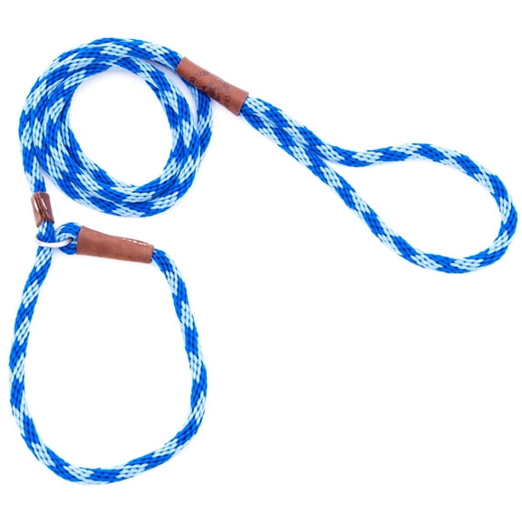 Mendota Pet Slip Leash - Dog Lead and Collar Combo - - Sapphire, 3/8 in x 6 ft - for Small/Medium Breeds