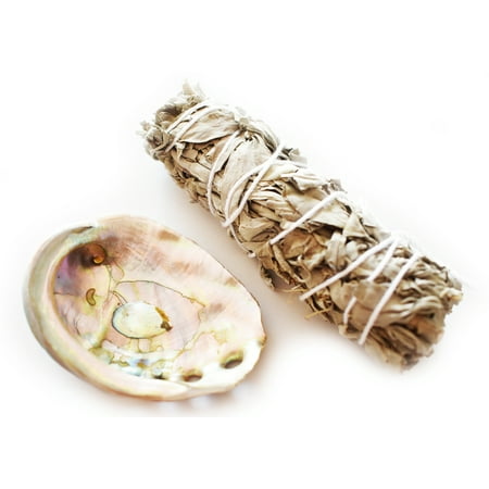 Smudge Kit: Polished Abalone Shell (small) and 4