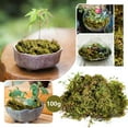thumbnail image 6 of Verdsylv Artificial Moss, Artificial Moss for Potted Plants - Realistic Greenery Decor for Garden Crafts, Wedding Centerpieces, Terrarium Landscaping, Fake Moss for Crafts, C, 6 of 9