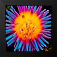 thumbnail image 2 of Bannon, Heidi 12x12 Black Modern Framed Museum Art Print Titled - Orange Bloom Pop, 2 of 5