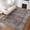Brown, variant on Shininglove Washable Vintage Distressed Area Rug 8' x 10' – Non-Slip Soft Carpet for Living Room, Bedroom, Dining Room & Home Office