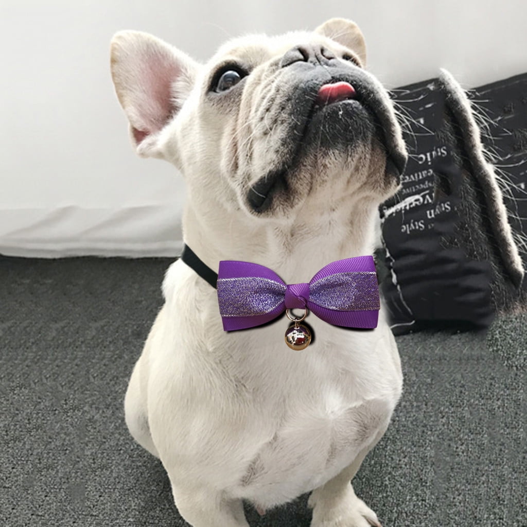 cat necktie collar