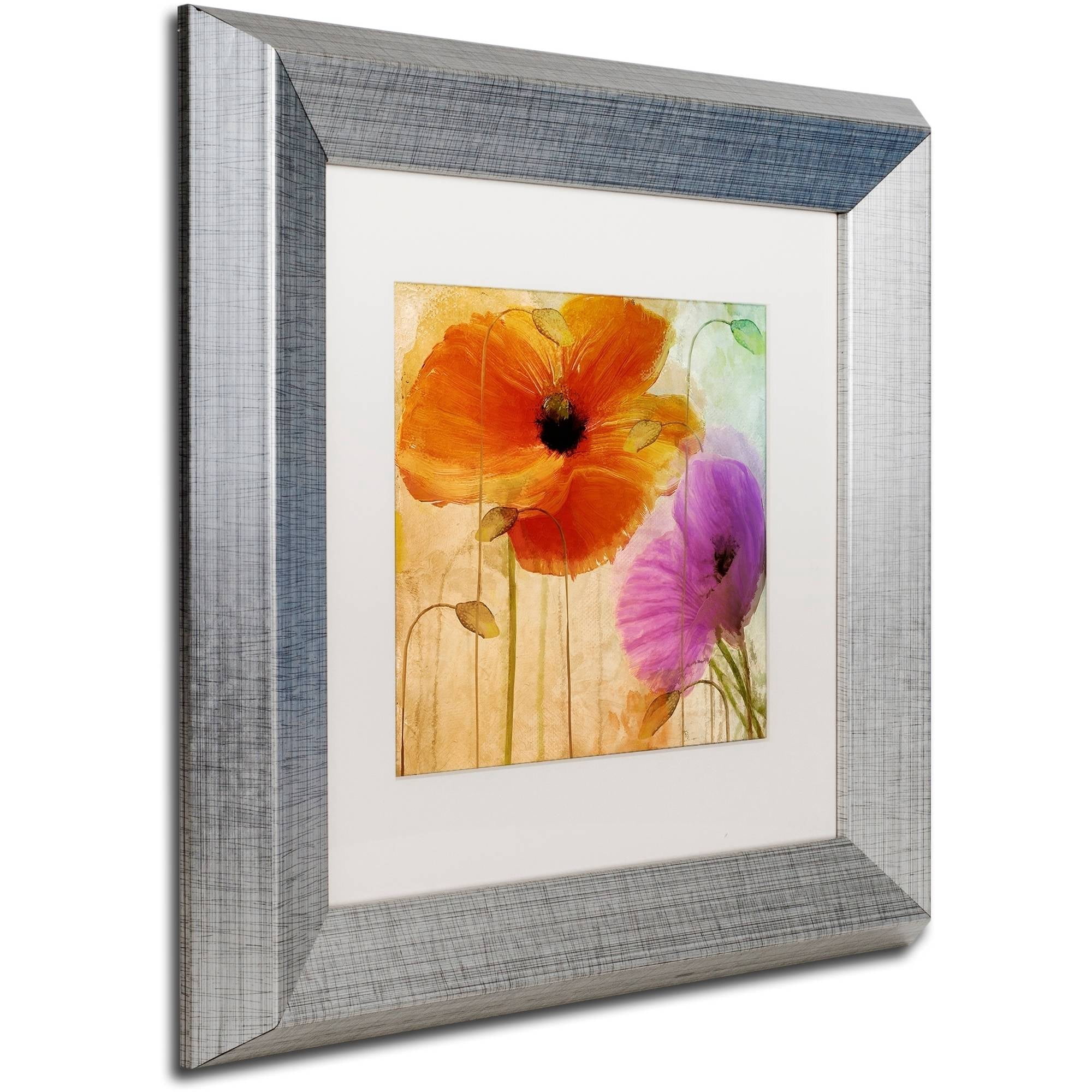 Trademark Fine Art "Penchant For Poppies II" Canvas Art by Color Bakery White Matte, Silver Frame