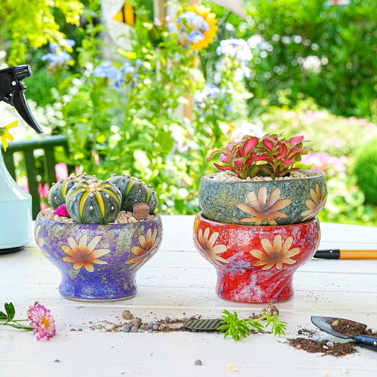 Sungmor Small Succulent Planters Set of 3, Beautiful Hand Crafted Ceramic  Plant Pots Cute Cactus Pot, 4.9 Inch Flower Pots for Indoor Plants with  Drainage, Desktop Windowsill Home Office Decor Pots - Walmart.com