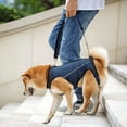 thumbnail image 2 of Dog Sling Pet Support Rehabilitation Sling Suitable For Elderly Disabled Joint Injury Arthritis Dog Walking Sling, 2 of 15