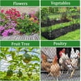 thumbnail image 5 of 8 X 100 Ft Garden Netting, 5/8in Mesh Heavy Duty Bird Netting for Vegetable, Fruit Trees, Blueberry Bush Protection, Reusable Poultry Netting Against Birds, Deer, Rabbit and Cat, Chicken Coop Net, 5 of 7