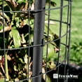 thumbnail image 6 of PRZL Vinyl Coated 16 Gauge Welded Fence Wire Roll, Mesh Size 2-Inch x 3-Inch, Black Metal Garden Fencing Wire Grid Hardware Cloth, Multiple Use for Home Improvement（24 Inch x 50 ft Black）, 6 of 9