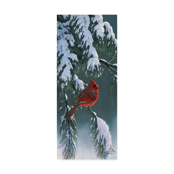 Trademark Fine Art 'The Light Of Winter' Canvas Art by Wilhelm Goebel