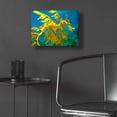 thumbnail image 5 of Epic Art 'Sea Dragon' by Mike Jones, Acrylic Glass Wall Art, 16"x12", 5 of 8