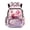 Pink Cherry Flower Strawberry, variant on FKELYI Kids Backpack for Boys Schoolbag 17 Inch School Bookbag Splatter Oil Painting Shark Print Casual Daypack Lightweight Spacious Knapsack Travel Rucksack