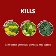 Spectracide Weed and Grass Killer Concentrate, 16 Ounces