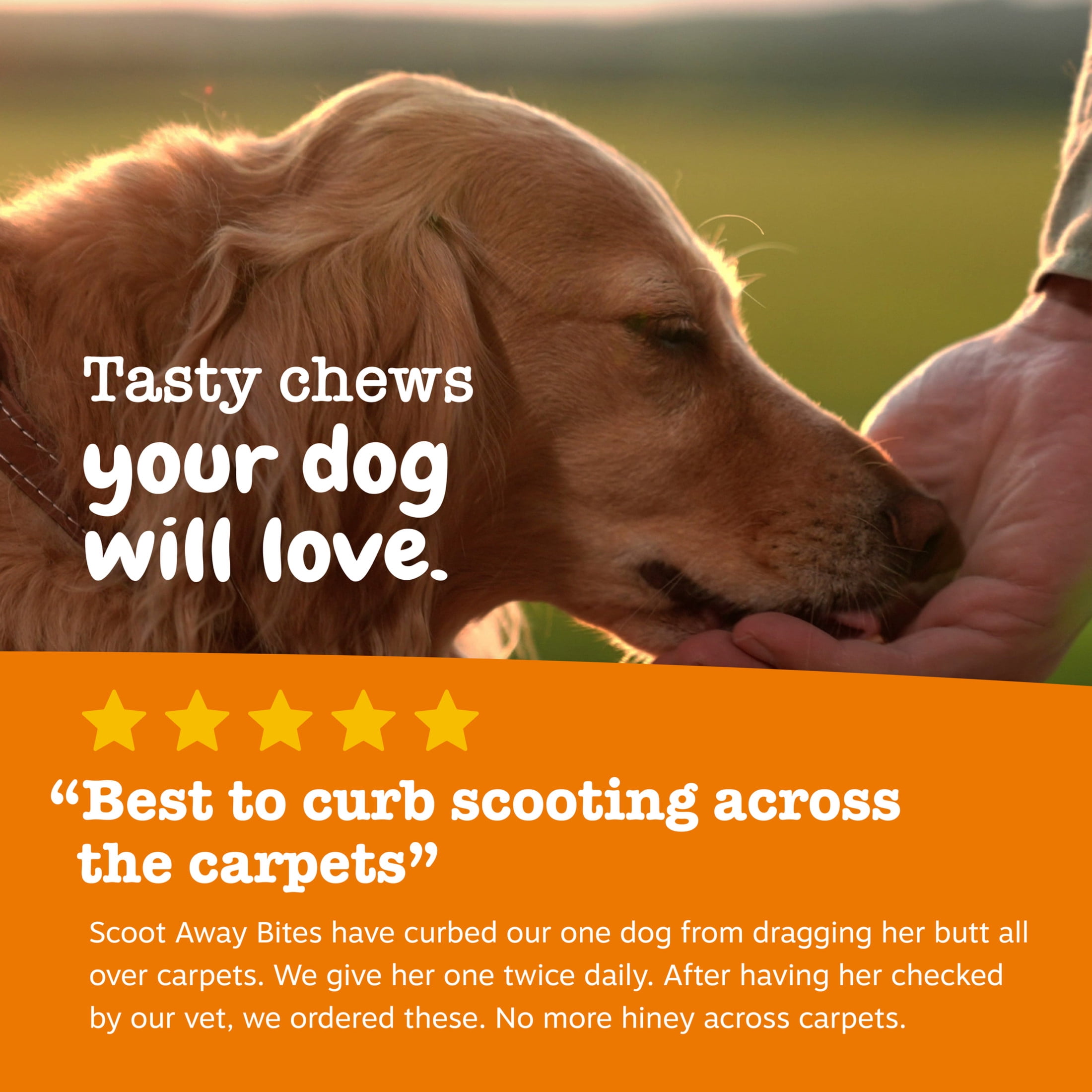 Zesty Paws Scoot Away Bites Chicken Flavor Dog Supplement, 90 Count