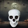 thumbnail image 5 of White Skeleton Head Decoration for Halloween Realistic Skull Figurine for Outdoor Cemetery Decor,Spooky White Halloween Prop Large Skeleton Head Ornament,White Skeleton Skull Prop Figurine(White), 5 of 7