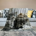 thumbnail image 2 of Patifu Little Cat Plush Blanket Lovely Pet Cats Sherpa Blanket Cat Lover's Animal Themed Design Fleece Throw Blanket for Sofa Couch Bed Room Decor Cute Kitten Print Fuzzy Blanket 40x50 Inch White, 2 of 6