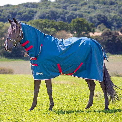 Shires Tempest Original Lite Combo Turnout 72 Teal