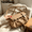 brown, variant on Women Soft PU Crossbody Bag, Minimalist Solid Color Small Square Shoulder Purse with Braided Strap, 5 Colors for Daily Casual Outfits