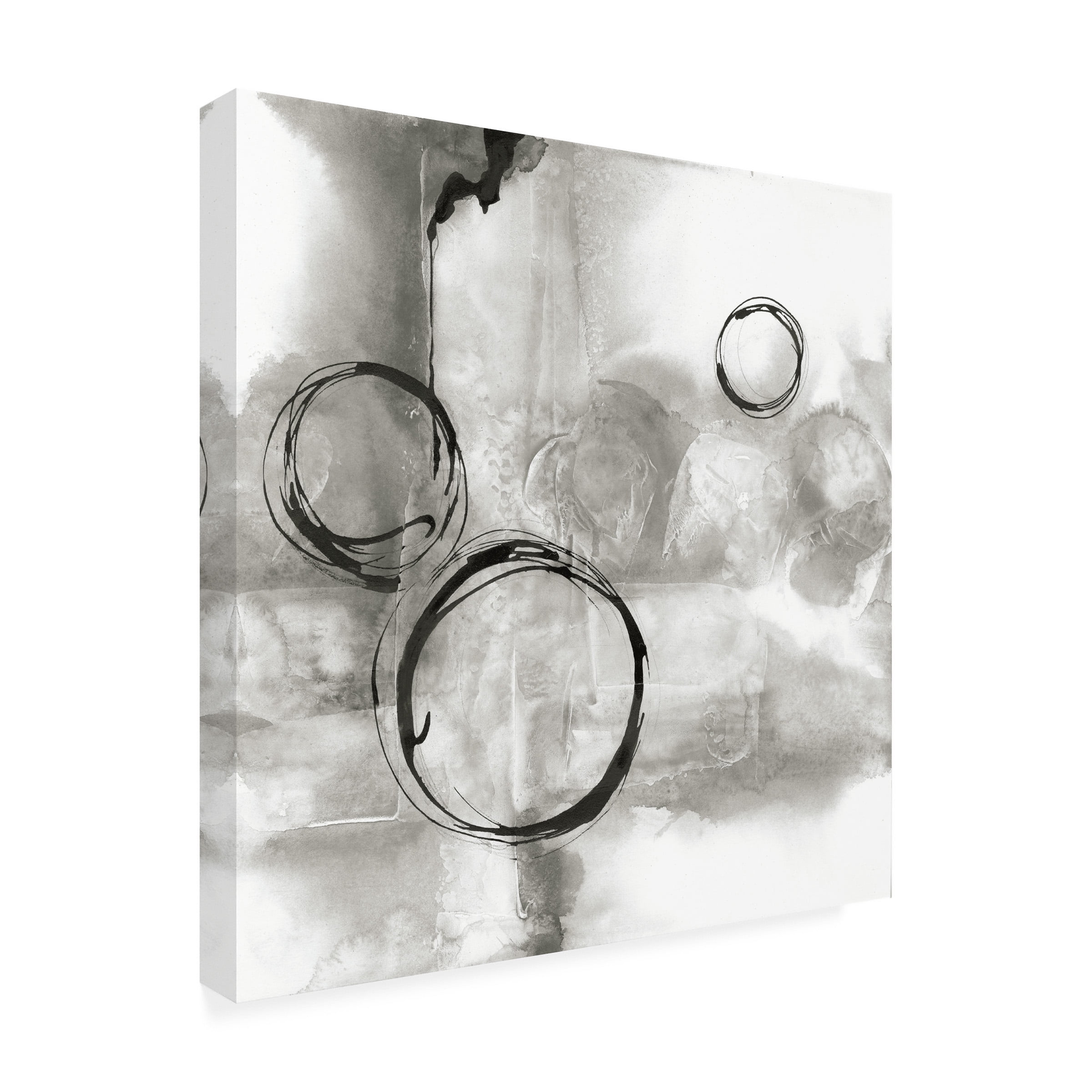 Trademark Fine Art 'Full Circle I Gray' Canvas Art by Chris Paschke