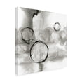 thumbnail image 4 of Trademark Fine Art 'Full Circle I Gray' Canvas Art by Chris Paschke, 4 of 4