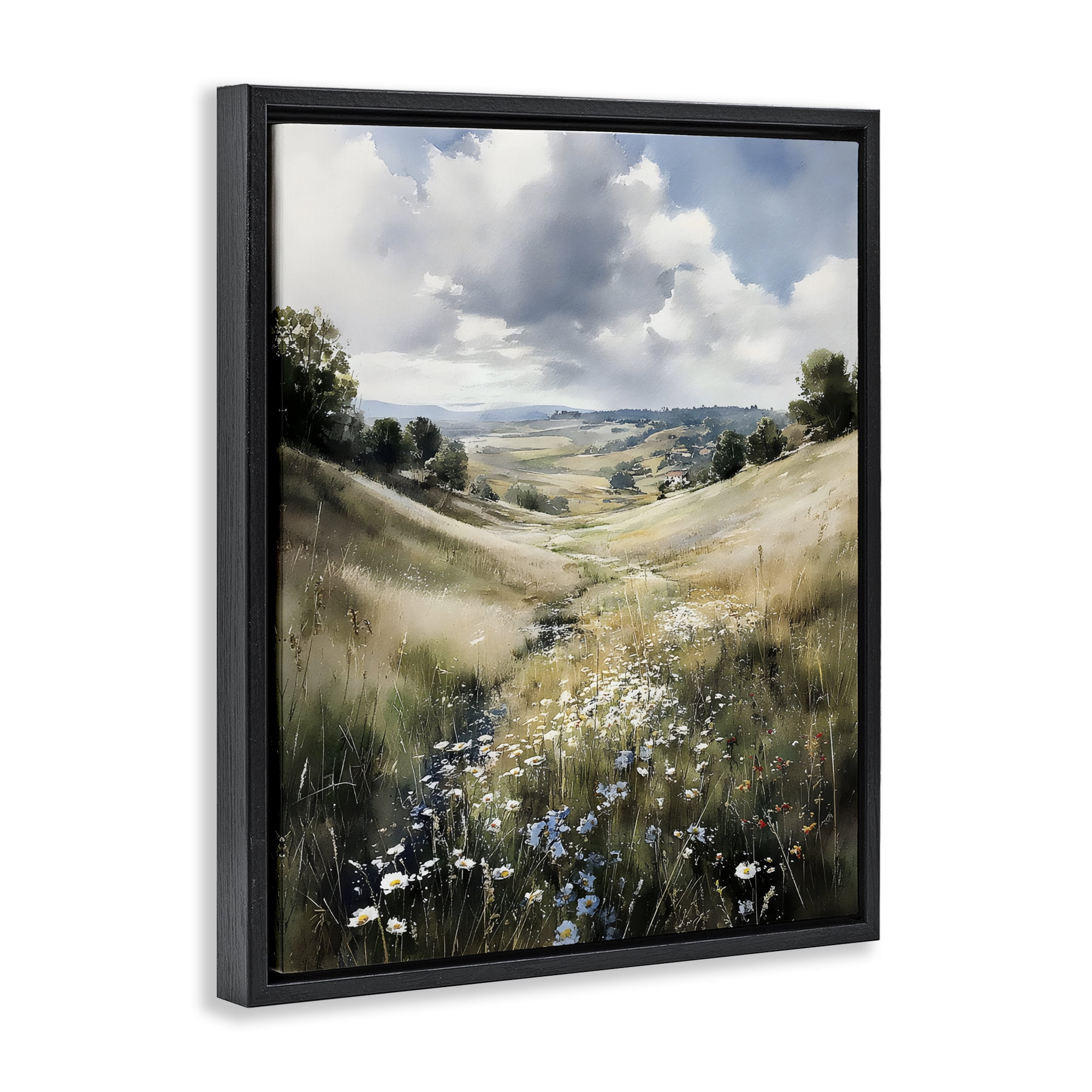 Stupell Industries Floral Valley of Wild Daisies Black Framed Floater Canvas Wall Art, design by Franklyn Gregory