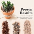thumbnail image 6 of Bonsai Jack Succulent and Cactus Soil, 1 Gallon, 6 of 6