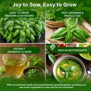 Organo Republic Holy Basil Seeds 0.5 g – 1,400 Non‑GMO Heirloom Basil Seeds – Indoor and Outdoor Herb Seed Packet for Home Garden, Culinary & Medicinal Planting