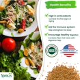 thumbnail image 4 of Nature Jims Sprouts Mezcla De Brotes De Ensalada - Mezcla De Ensalada Orgánica Para Cultivo - Semillas Microverdes Sin Ogm - Brócoli Saludable Alfalfa Rábano Trébol Semillas De Germinación Mezcla Vari, 4 of 5