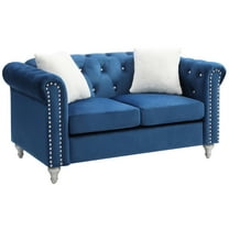 Passion Furniture Raisa 60 in. Navy Blue Velvet 2-Seater Sofa with 2-Throw Pillow