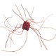thumbnail image 1 of 6PCS Pesca Ure Kit Dados en forma de PVC blando de pesca de hundimiento lento flexible Ures para el siluro y la pesca de pesca, 1 of 4