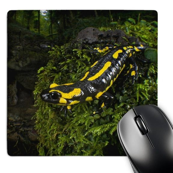3dRose, Fire Salamander lizard, Switzerland - EU29 AMR0006 - Andres Morya Hinojosa, MousePad