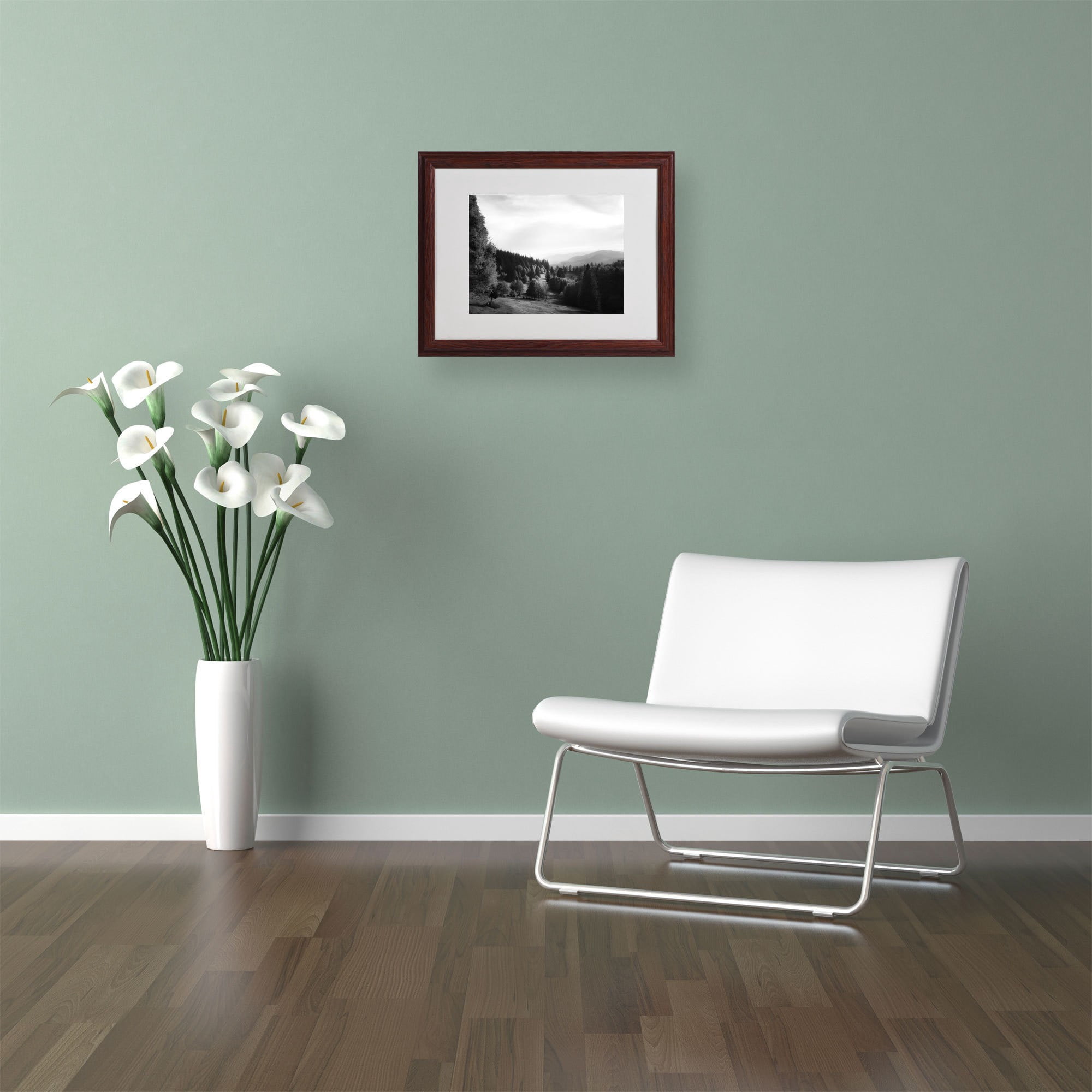 Trademark Fine Art "Spotlight" Canvas Art by Philippe Sainte-Laudy, Wood Frame