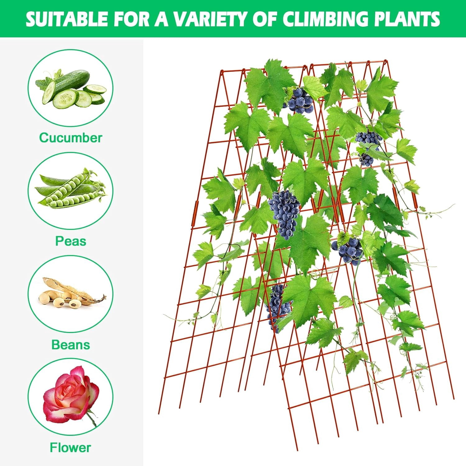 Cucumber Trellis, 59" High 2 Pack Foldable A Frame Trellis for Raised Bed Climbing Plants, Vegetables, Includes Plant Support Clips, Twist Ties, Plastic Ties- Made from PVC-Coated Steel