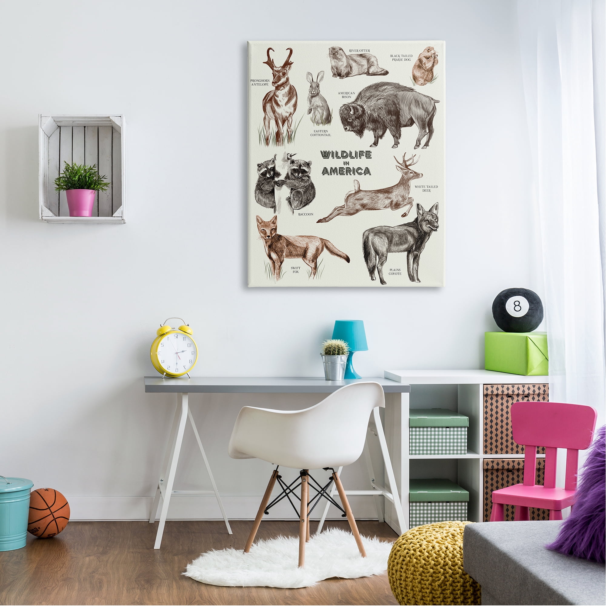 Stupell Industries Wildlife In America Various Animals Detailed Illustrations Chart Canvas Wall Art, 36 x 48, Design by Lil' Rue