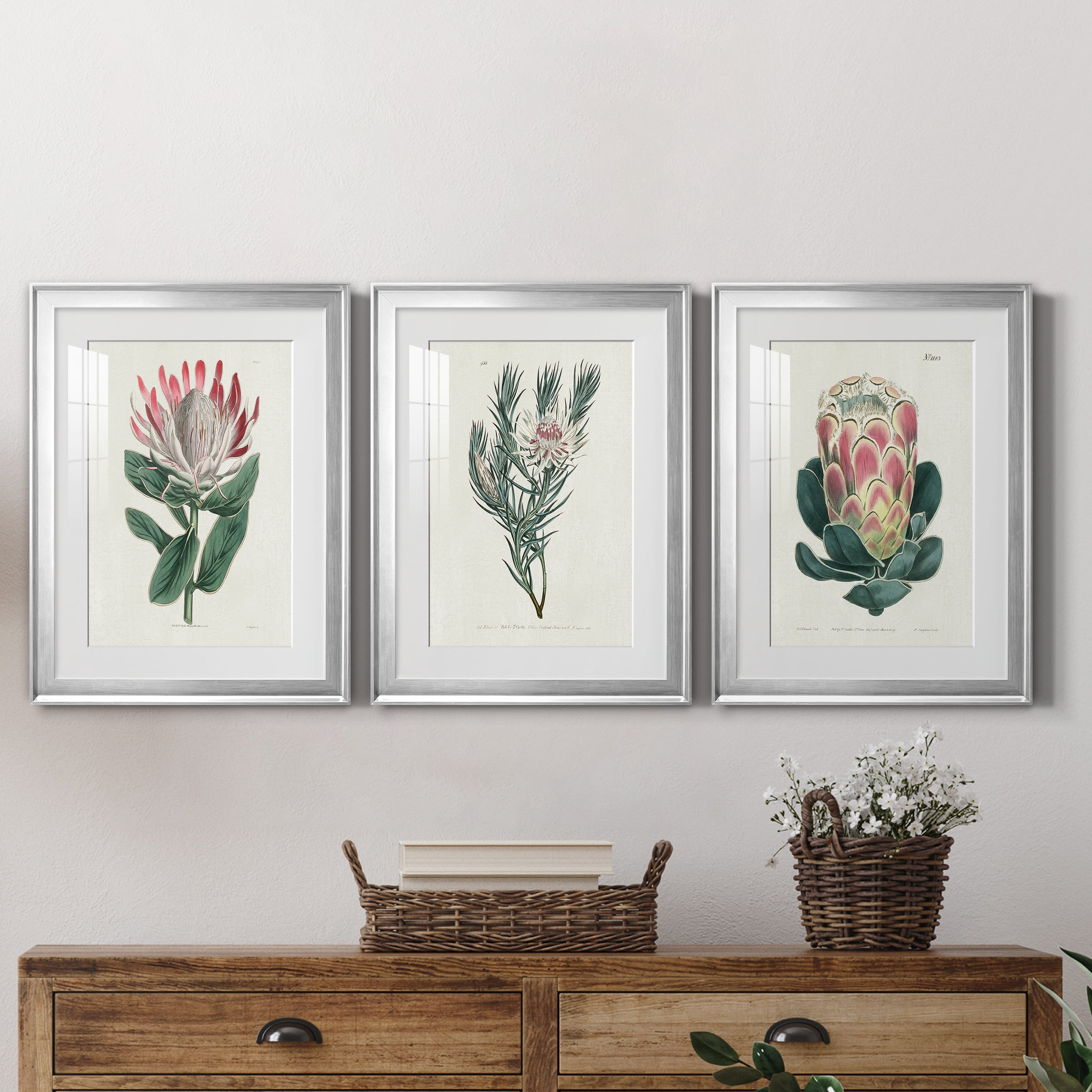 Protea N13 Premium Framed Prints Set of 3 - Ready to Hang - 18 x 24 Each - Silver Frame