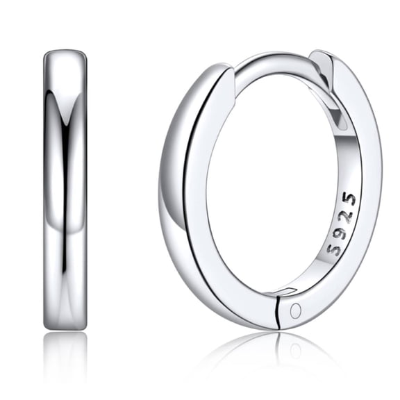 Silvora Pure Sterling Silver Small Hoop Earring for Women 10mm Hypoallergenic Tiny Huggie Earrings Cartilage Earring Jewelry Gift