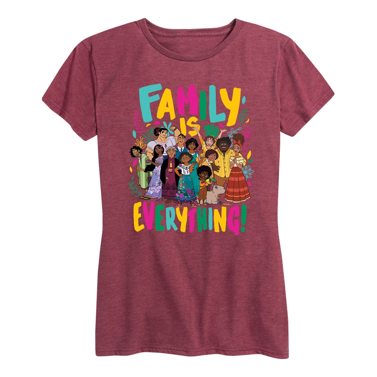 Disney's Encanto - Family Is Everything - Women's Short Sleeve Graphic ...