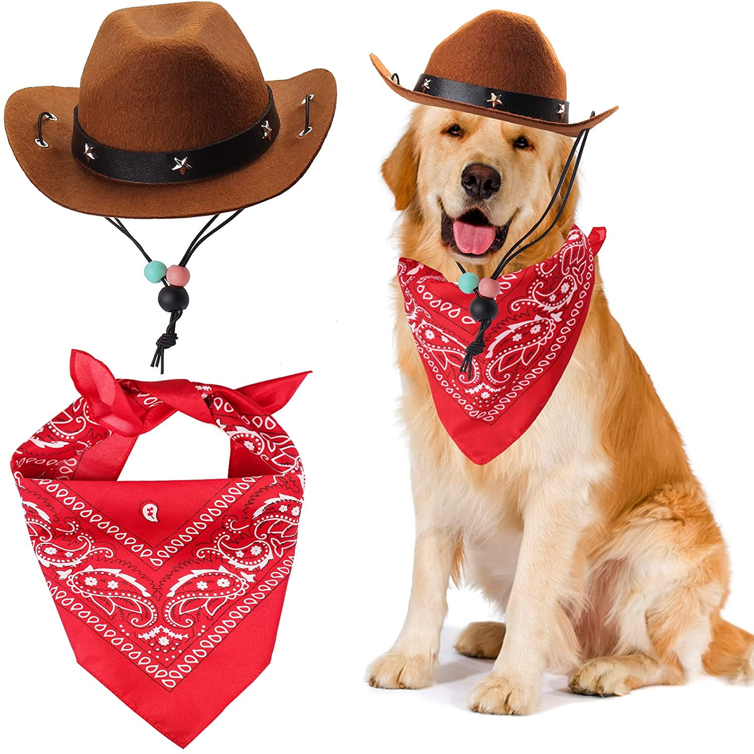 Dog dressed as cowboy sales