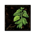 thumbnail image 2 of Trademark Fine Art "Black Gold Herbs IV" Canvas Art by Color Bakery, 2 of 4