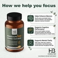 thumbnail image 4 of Herbal Bee Advanced Alpha Focus Brain Supplements for Memory and Focus with Ginkgo Biloba, 60 Count, 4 of 7