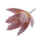 thumbnail image 1 of Plantas Suculentas Artificiales Hierba Desierto DIY Paisaje Flores Hogar Jardín Decoración Macarena Planta Artificial, 1 of 7