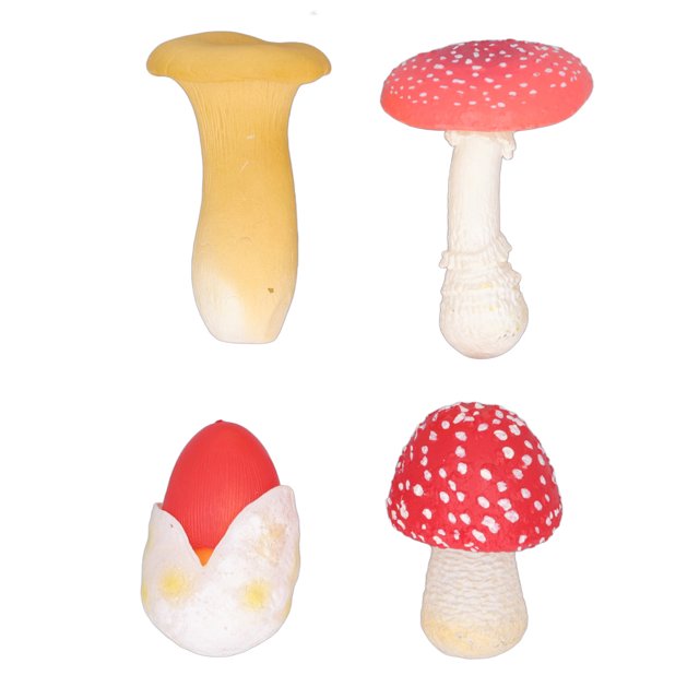 Modelo de hongo en miniatura plantas que aprenden educación temprana 4 piezas Modelo de hongo simulado de apariencia real Decoración estática para escritorio ANGGREK Otros