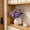 Purple, variant on WMTOKK Artificial Chrysanthemum Daisy Flower Stem 15.75in Realistic Fake Flowers for Wedding Centerpiece Living Room Vase Floral Arrangement (Purple)