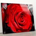 thumbnail image 1 of HelloGlass Red Rose Wall Art Tempered Glass Wall Art Flower Modern Decor Glass Printing Wall Art Tempered Glass Panel Floral Wall Art Nature Landscape Wall Art 24x16inch, 1 of 9