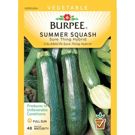 Burpee-Squash, Summer, Sure Thing Zucchini Hybrid Seed Packet